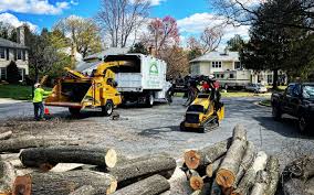 Best Lawn Pest Prevention  in Delta Junction, AK
