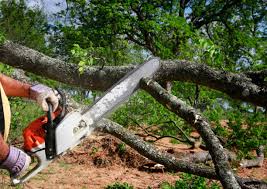 Best Emergency Tree Removal  in Delta Junction, AK