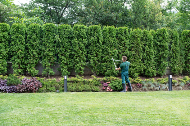 Best Aeration Services  in Delta Junction, AK