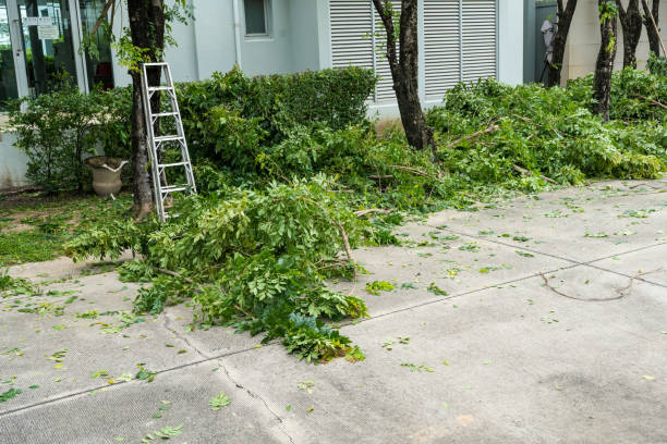 Best Tree and Shrub Care  in Delta Junction, AK