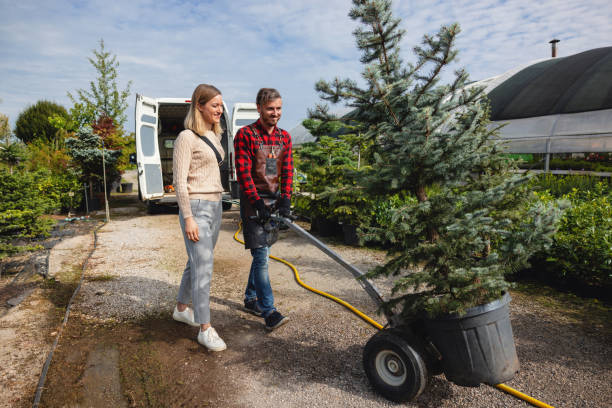  Delta Junction, AK Tree Services Pros